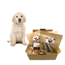 Box-mastication-chien-chiot