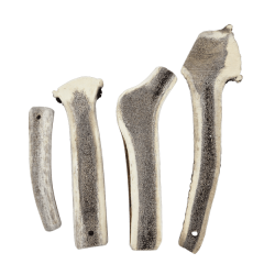 Bois de cerf tranché - mastication pour chien et chiot