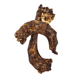 Cou de dinde - mastication pour chiot et chien