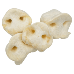 Groin de porc soufflé pour chien